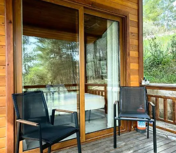 Cedar With Nature Views