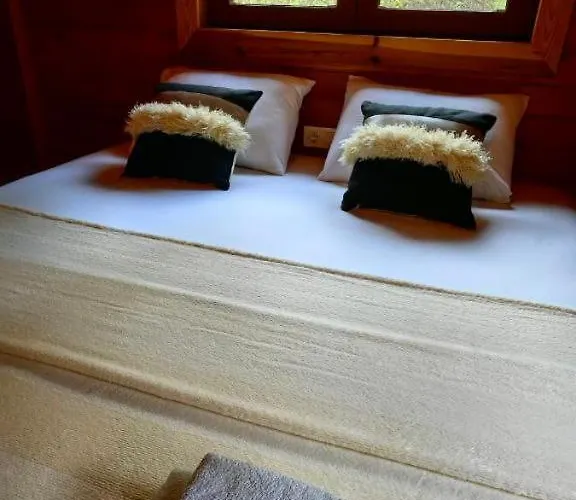 Cedar With Nature Views Вилла Олимпос