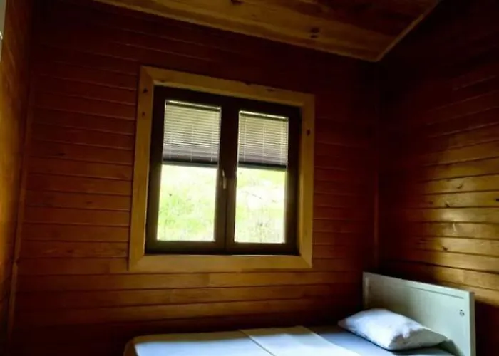 Cedar With Nature Views Вилла