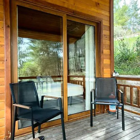 Cedar With Nature Views