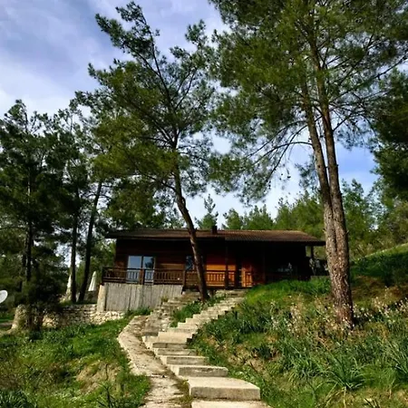 Villa Cedar With Nature Views Olympos