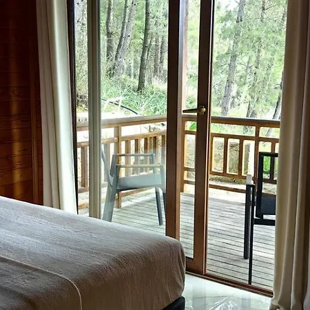 Cedar With Nature Views * Olimpos