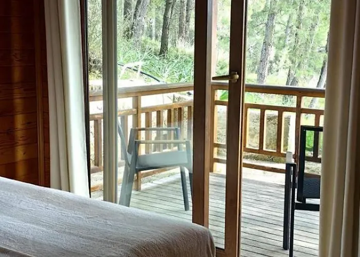 Cedar With Nature Views * Olimpos