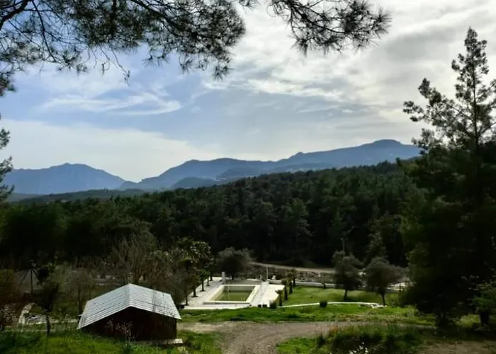 Villa Cedar With Nature Views *