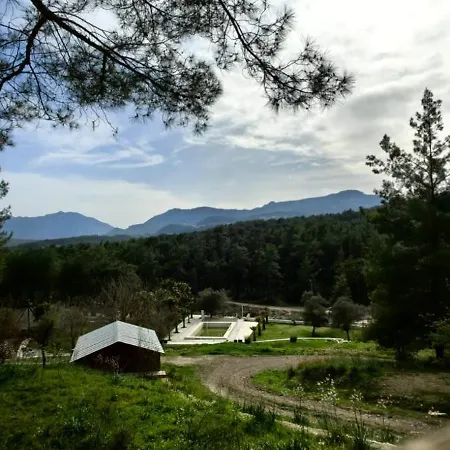 Βίλα Cedar With Nature Views *