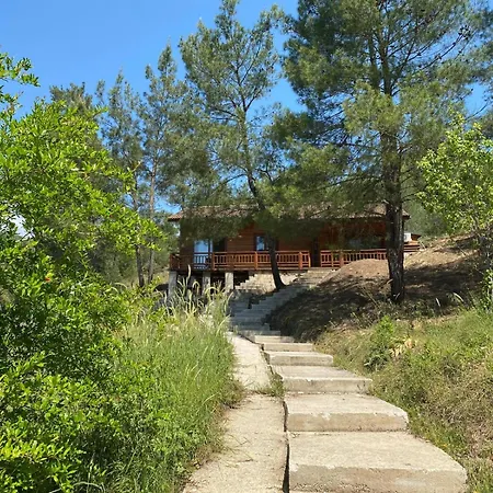 Cedar With Nature Views Όλυμπος