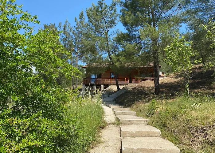 Cedar With Nature Views Όλυμπος
